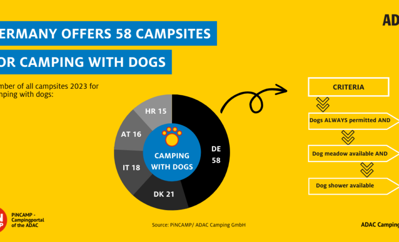 Il campeggio con il cane: una tendenza tra i campeggiatori anche nel 2023