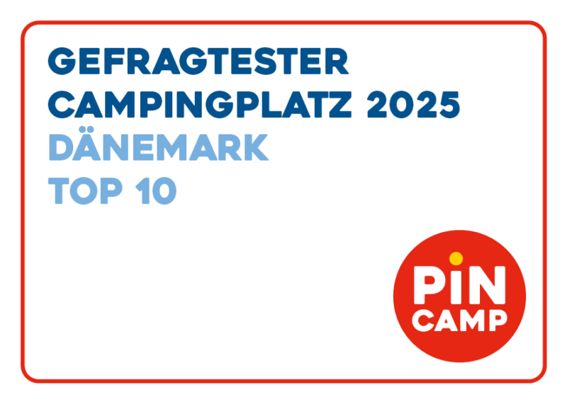 PiNCAMP_Top_100_Icon_2025_Daenemark