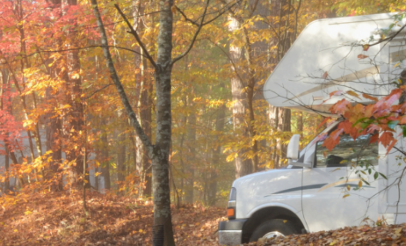 Camping prices drop in autumn: Croatia 53% cheaper, Italy most popular