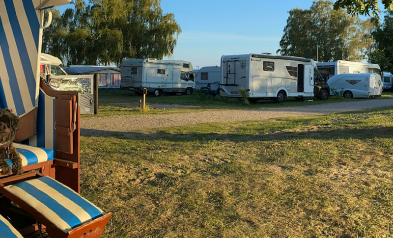 Europa’s meest hondvriendelijke campings – waar hondeneigenaren vooral waarde aan hechten