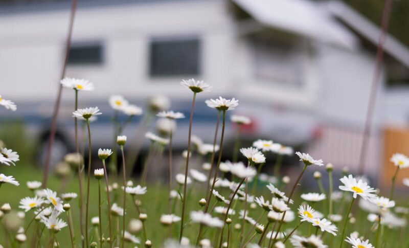 ECOCAMPING-onderscheiding: Vereisten en aan de slag